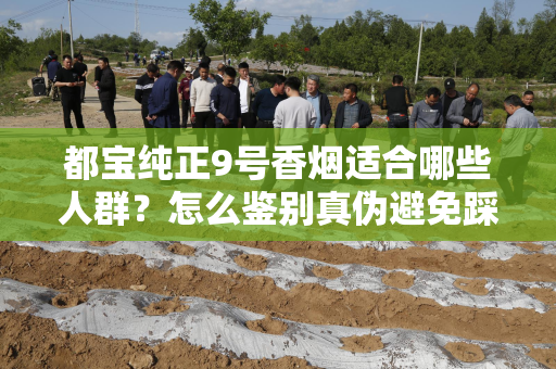 都宝纯正9号香烟适合哪些人群？怎么鉴别真伪避免踩坑？